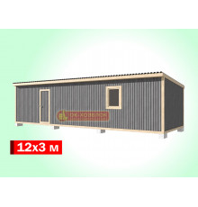 Хозблок из профлиста 12х3